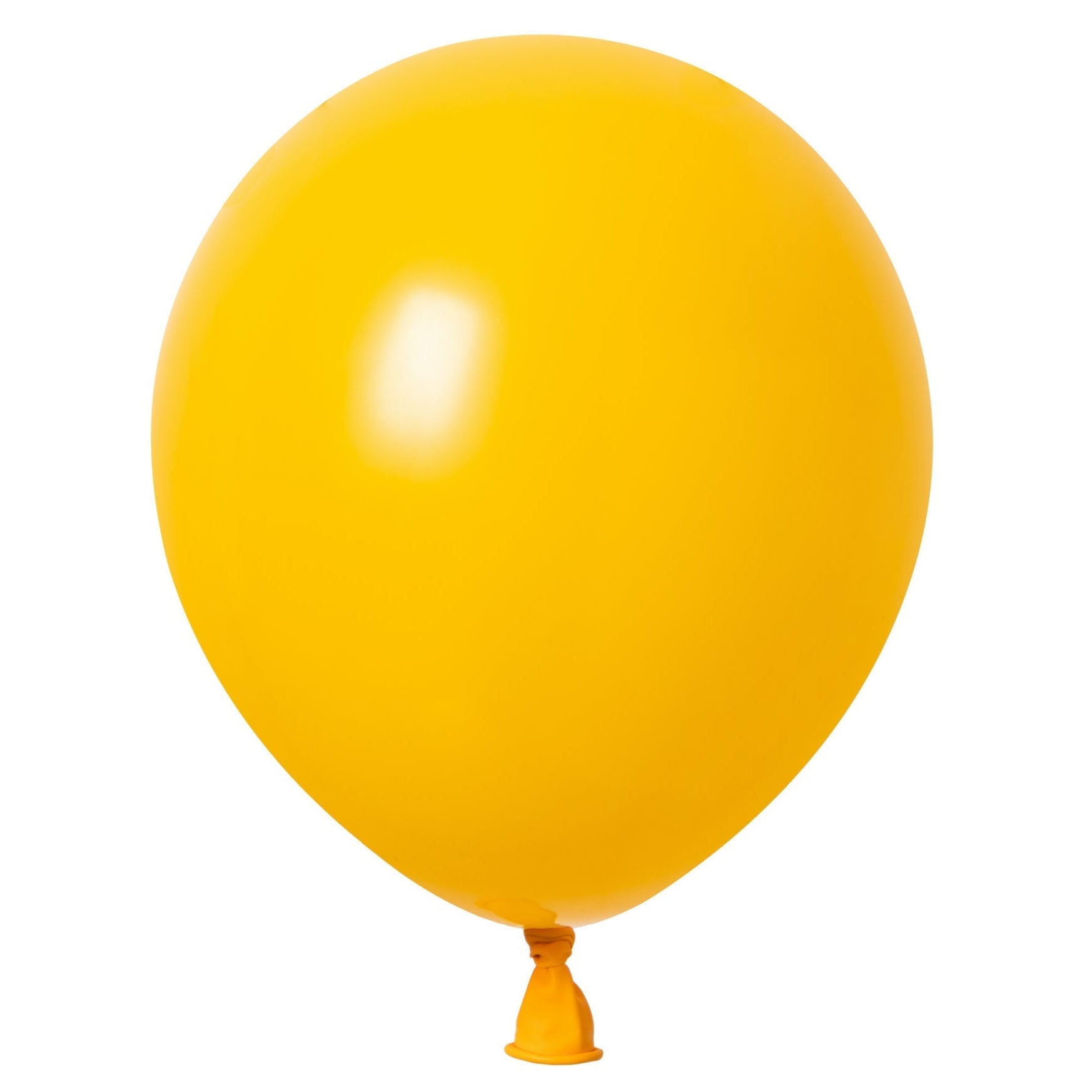 Winntex 5