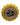 18" Happy Mother's Day Sunflower (100ct) - Premium Party Distribution