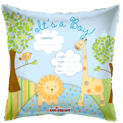 18" It's a Boy - Jungle - Premium Party Distribution