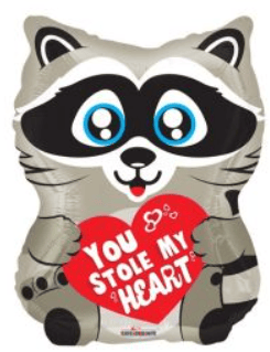 18" Raccoon - You Stole My Heart - Premium Party Distribution