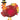 31" Pilgrim Turkey - Premium Party Distribution