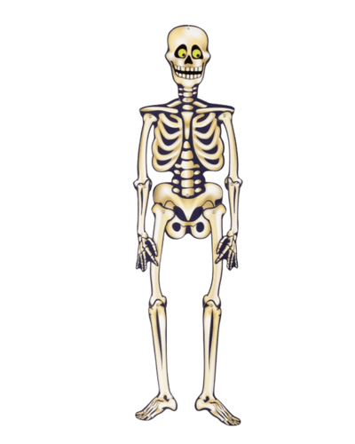 35" Halloween Jointed Skeleton - Premium Party Distribution