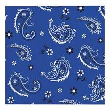5" Beverage Napkins - Blue Bandana Cowboy (16 Count) - Premium Party Distribution