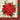 6.5" Luncheon Napkins - Poinsettia Plaid (16ct) - Unique - Premium Party Distribution
