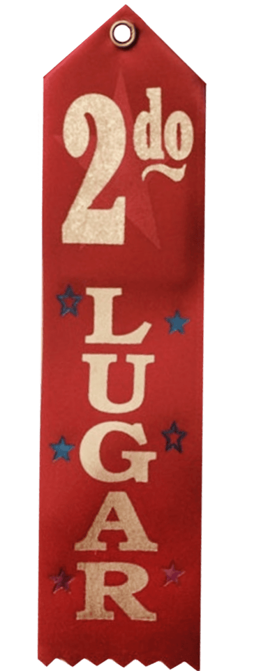 8" Award Ribbon - 2do Lugar - Premium Party Distribution