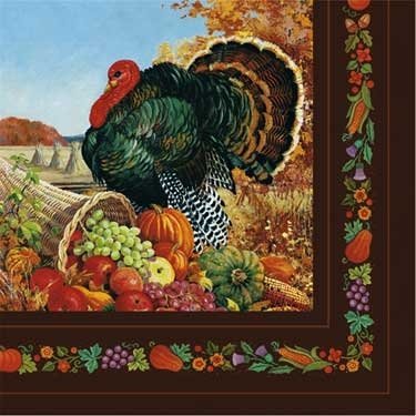 8.25" Luncheon Napkins - Pastoral Turkey (16ct) - Premium Party Distribution