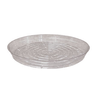 6in Clear SAUCER / TRAY - Package of 50