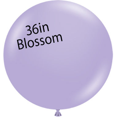 36in BLOSSOM  Bag of 2 - Round Latex Balloons