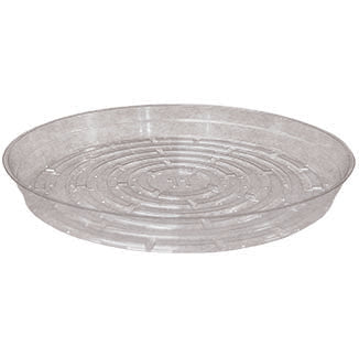 7in Clear Saucer - Pkg of 50