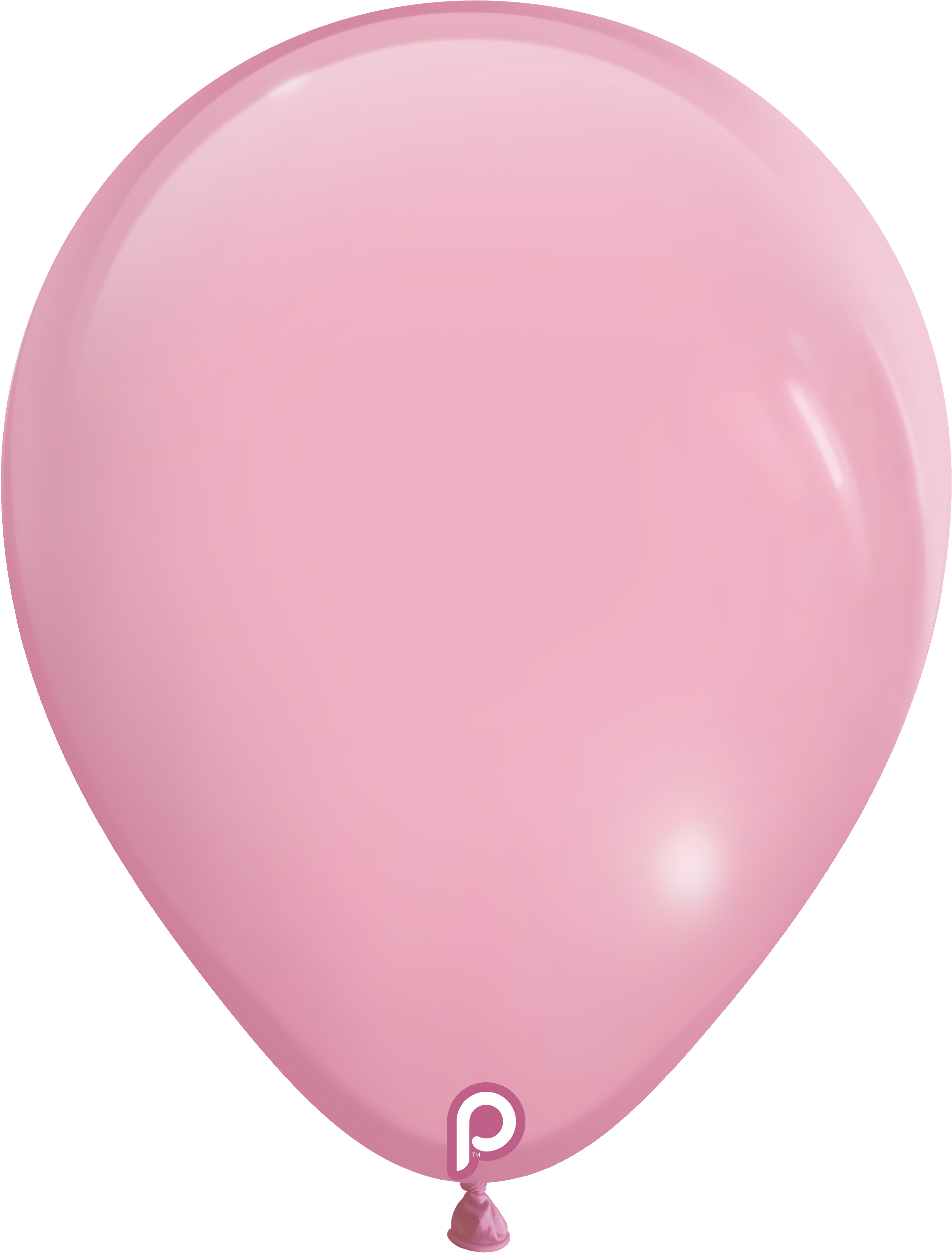 18" Baby Pink (25ct) - Prima