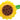 Anagram 19" Sunflower Balloon - Premium Party Distribution