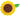 Anagram 19" Sunflower Balloon - Premium Party Distribution