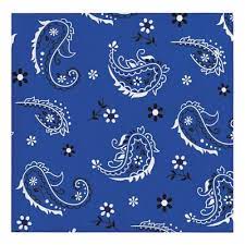 Blue Bandana Cowboy Western 16ct