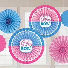 Gender Reveal Paper Fans 6pc - Premium Party Distribution