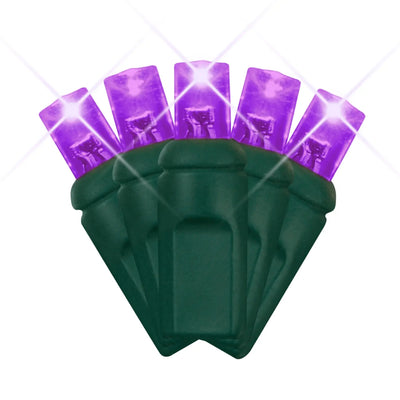 LED Mini Lights 5MM Purple Twinkle Green Wire 6" Spacing - Premium Party Distribution